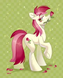 Size: 3600x4434 | Tagged: safe, artist:k0potb, derpibooru import, roseluck, earth pony, pony, g4, flower, image, png, rose