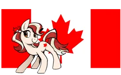 Size: 1920x1200 | Tagged: safe, artist:brella, derpibooru import, oc, ponified, pony, canada, image, nation ponies, national flag, png, solo