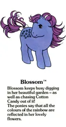 Size: 525x1000 | Tagged: safe, derpibooru import, official, blossom, earth pony, pony, g1, blossom (g1), blossomdorable, bow, closed mouth, cute, female, g1 backstory, image, jpeg, mare, my little pony fact file, smiling, solo, tail, tail bow, text