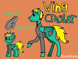 Size: 4096x3072 | Tagged: safe, artist:blackblade360, derpibooru import, oc, oc:wing crasher, unofficial characters only, pegasus, pony, fallout equestria, 2024, ashes town, bio, blue eyes, clothes, cutie mark, digital art, eyepatch, green coat, ibispaint x, image, male, orange background, pegasus oc, pixel art, png, pony oc, raised hoof, raised leg, reference, reference sheet, signature, simple background, stallion, stallion oc, tail, title card, two toned mane, two toned tail, wings