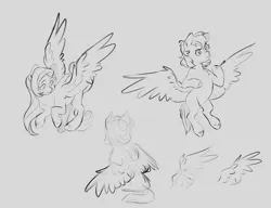 Size: 7800x6000 | Tagged: safe, artist:chub-wub, derpibooru import, pegasus, pony, ambiguous gender, flying, frown, hoof fluff, image, jpeg, long mane, long tail, looking down, monochrome, partially open wings, raised hoof, rear view, requested art, short mane, simple background, sitting, sketch, smiling, spread wings, tail, tan background, thinking, three quarter view, trio, unknown pony, wavy mane, wavy tail, wings