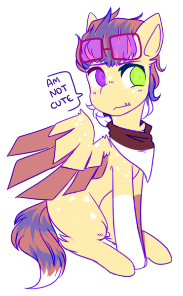 Size: 1317x2130 | Tagged: safe, artist:amiicommissions, derpibooru import, oc, oc:cookie, pegasus, pony, blatant lies, colored wings, heterochromia, image, male, png, rule 63, simple background, solo, stallion, sunglasses, transparent background, two toned wings, wings