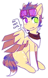 Size: 1317x2130 | Tagged: safe, artist:amiicommissions, derpibooru import, oc, oc:cookie, pegasus, pony, blatant lies, colored wings, heterochromia, image, male, png, rule 63, simple background, solo, stallion, sunglasses, transparent background, two toned wings, wings