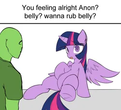 Size: 2889x2632 | Tagged: safe, artist:maretheory.exe, derpibooru import, twilight sparkle, twilight sparkle (alicorn), oc, oc:anon, alicorn, human, pony, belly, boobs? wanna touch boobs?, female, frog (hoof), hoof on belly, image, male, mare, meme, png, round belly, simple background, underhoof, white background, worried