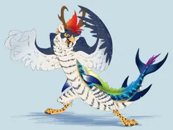 Size: 7040x5272 | Tagged: safe, artist:chub-wub, derpibooru import, part of a set, rainbow dash, avian, draconequus, g4, antlers, beak, blue background, claws, coat markings, colored antlers, colored claws, colored paw pads, colored sclera, colored wings, draconequified, ear fluff, ear markings, eye markings, facial markings, fish tail, floppy ears, gradient wings, head fin, image, jpeg, leg markings, multicolored hair, multicolored wings, narrowed eyes, open beak, open mouth, open smile, rainbow hair, red eyes, shadow, sharp teeth, simple background, smiling, solo, species swap, striped, stripes, tail, tail fins, teeth, thin, wide stance, wing claws, wing fluff, wings