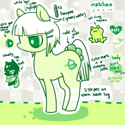 Size: 700x700 | Tagged: safe, artist:matcharoll, derpibooru import, oc, oc:matcha (matcharoll), oc:meron, ponified, unofficial characters only, earth pony, food pony, frog, original species, pony, 2012, beanbrows, checkered background, clothes, color palette, eyebrows, food, green eyes, hairclip, image, leg stripes, lidded eyes, no mouth, no nose, png, reference sheet, scarf, striped scarf, stripes, tail beads, white pupils