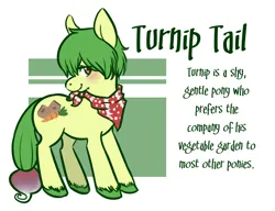 Size: 898x691 | Tagged: safe, artist:voyeurs, derpibooru import, oc, oc:turnip tail, unofficial characters only, earth pony, pony, 2011, colored hooves, earth pony oc, green background, hooves, image, male, neckerchief, passepartout, png, reference sheet, simple background, solo, stallion, turnip, unshorn fetlocks, white background