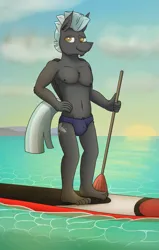 Size: 3087x4849 | Tagged: suggestive, artist:tacomytaco, derpibooru import, thunderlane, anthro, pegasus, plantigrade anthro, belly, belly button, clothes, crotch bulge, hand on hip, image, male, male nipples, nipples, nudity, paddleboard, partial nudity, png, solo, solo male, speedo, sun, sunset, swimsuit, topless, water