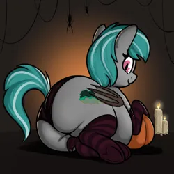 Size: 1310x1310 | Tagged: suggestive, artist:andesblorps, derpibooru import, oc, oc:malachite cluster, unofficial characters only, bat pony, pony, spider, bat pony oc, bat wings, belly, butt, candle, chubby, clothes, fat, femboy, halloween, holiday, image, large butt, looking at you, looking back, male, panties, png, pumpkin, smiling, socks, stallion, striped socks, underhoof, underwear, wings