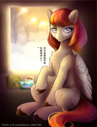 Size: 1672x2204 | Tagged: safe, artist:dshreker, derpibooru import, oc, unofficial characters only, pegasus, pony, chest fluff, cyrillic, female, glasses, image, japanese, looking at you, mare, moon runes, png, russian, sitting, solo focus, unshorn fetlocks