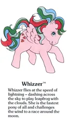 Size: 550x1000 | Tagged: safe, derpibooru import, official, whizzer, pegasus, pony, twinkle eyed pony, g1, bow, cute, female, flying, g1 backstory, image, jpeg, mare, my little pony fact file, smiling, solo, tail, tail bow, whizzabetes, whizzer can fly