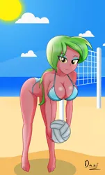 Size: 2468x4096 | Tagged: suggestive, artist:danielitamlp, derpibooru import, lemon zest, human, equestria girls, g4, bare shoulders, barefoot, beach, belly, belly button, bikini, bikini bottom, bikini top, blue bikini, blue swimsuit, breasts, busty lemon zest, cleavage, clothes, eyeshadow, feet, female, image, jpeg, legs, looking at you, makeup, midriff, ocean, outdoors, sky, sleeveless, sports, stupid sexy lemon zest, summer, sun, swimsuit, volleyball, volleyball net, water