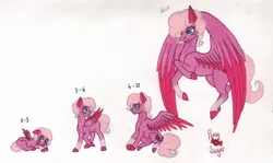 Size: 1505x897 | Tagged: safe, artist:tazzy-girl, derpibooru import, oc, oc:rosy sugar, unofficial characters only, pegasus, pony, age progression, baby, baby pony, female, filly, foal, image, jpeg, older, solo, traditional art