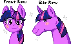 Size: 990x612 | Tagged: safe, artist:koasku, artist:tihan, derpibooru import, twilight sparkle, pony, g4, digital art, female, front view, hoers, image, looking at you, manepxls, mare, pixel art, png, pxls.space, side view, simple background, smiling, solo, sparkles, text, transparent background