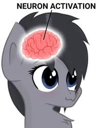 Size: 1370x1778 | Tagged: safe, artist:tweekstudio, derpibooru import, oc, oc:tweek, unofficial characters only, pony, blue eyes, brain, chest fluff, female, image, mare, meme, neuron activation, organs, png, text