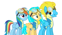 Size: 3985x2237 | Tagged: safe, artist:alicesponycorner, derpibooru import, rainbow dash, oc, pegasus, g4, wonderbolts academy, clothes, group, group photo, group shot, image, pegasus oc, png, show accurate, uniform, vector, wings, wonderbolt trainee uniform, wonderbolts, wonderbolts uniform