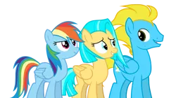 Size: 3985x2237 | Tagged: safe, artist:alicesponycorner, derpibooru import, rainbow dash, oc, pegasus, pony, g4, couple, group, group photo, group picture, group shot, image, png, show accurate