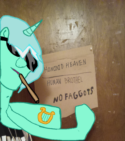 Size: 812x913 | Tagged: questionable, derpibooru import, edit, lyra heartstrings, human, pony, unicorn, g4, cigarette, cutie mark, door, faggot, horn, image, implied human on pony action, implied interspecies, png, pointing, sign, slur, solo, sunglasses, that pony sure does love humans, vulgar