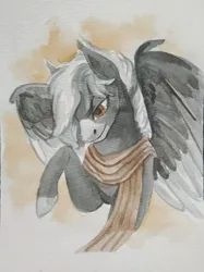 Size: 1662x2217 | Tagged: safe, artist:rowankitten, derpibooru import, oc, oc:midnight serenity, unofficial characters only, pegasus, pony, bust, clothes, image, jpeg, male, raised hoof, scarf, solo, spread wings, stallion, traditional art, watercolor painting, wings