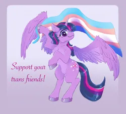 Size: 2016x1828 | Tagged: safe, artist:cassarts, derpibooru import, twilight sparkle, twilight sparkle (alicorn), alicorn, pony, bipedal, female, holding, image, mare, mouthpiece, png, politics, pride, pride flag, solo, transgender pride flag, unshorn fetlocks