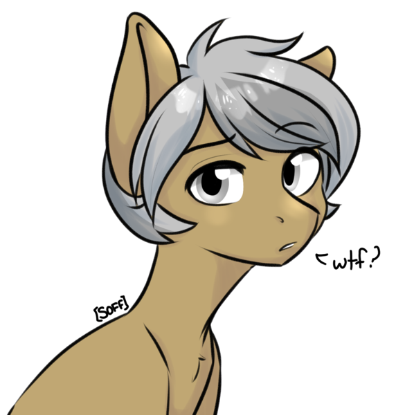 Size: 1360x1394 | Tagged: safe, artist:soff, derpibooru import, oc, oc:hind, unofficial characters only, earth pony, pony, bust, confused, gray eyes, grey hair, image, looking at you, male, png, portrait, solo, solo male, stallion