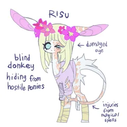 Size: 851x851 | Tagged: safe, artist:cutesykill, derpibooru import, oc, oc:risu, unofficial characters only, donkey, arrow, bandage, bandaged leg, battle scarred, big ears, blind, blue eyes, blue sclera, body fluff, body scar, butt fluff, clothes, colored pinnae, donkey oc, ear scar, eye scar, eyelashes, facial scar, floppy ears, flower, flower in hair, image, leg scar, leonine tail, long ears, long legs, long mane, no catchlights, no mouth, non-pony oc, png, purple text, scar, shirt, simple background, solo, standing, straight mane, tail, tail scar, thick eyelashes, torn clothes, white background, white coat, white mane, white tail