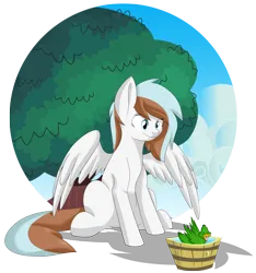 Size: 2432x2600 | Tagged: safe, artist:chub-wub, derpibooru import, oc, oc:waffles, unofficial characters only, bird, duck, pegasus, pony, bucket, image, png, simple background, sitting, solo, transparent background, tree