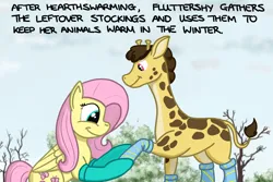 Size: 1800x1200 | Tagged: safe, artist:hoofclid, derpibooru import, fluttershy, giraffe, pegasus, pony, g4, clothes, duo, duo male and female, female, giraffe oc, image, male, mare, outdoors, png, smiling, socks, stockings, text, thigh highs