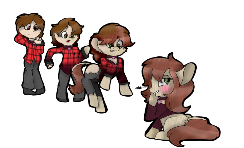 Size: 4690x2851 | Tagged: safe, artist:toffee-the-dingo, derpibooru import, oc, unofficial characters only, earth pony, human, pony, blushing, clothes, collar, female, high res, human to pony, image, lip bite, male, png, sitting, solo, transformation, transformation sequence, transforming clothes, transgender transformation