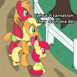 Size: 1100x1100 | Tagged: safe, artist:unitxxvii, derpibooru import, apple bloom, applejack, big macintosh, earth pony, pony, apple siblings, apple sisters, bow, brother and sister, female, fence, filly, foal, grass, hair bow, image, jpeg, male, mare, meme, outdoors, ponified meme, siblings, sisters, sitting, stallion, standing on two hooves, text, tree, yoke