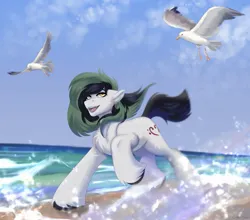 Size: 2048x1801 | Tagged: safe, artist:enderbee, derpibooru import, oc, oc:trance sequence, unofficial characters only, bird, earth pony, pony, image, jpeg, male, ocean, running, smiling, solo, stallion, water