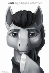 Size: 1293x1920 | Tagged: safe, artist:wwredgrave, derpibooru import, cheese sandwich, earth pony, pony, g4, the last laugh, apple (company), bust, grayscale, image, jpeg, looking at you, male, monochrome, my little pony, parody, portrait, simple background, solo, stallion, steve jobs, white background