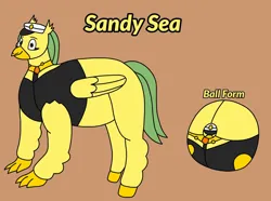 Size: 1036x772 | Tagged: safe, artist:armadillokingbr4dy, derpibooru import, oc, oc:sandy sea, unofficial characters only, classical hippogriff, hippogriff, ball, brown background, clothes, fat, female, hippogriff oc, image, jpeg, sailor uniform, simple background, solo, uniform