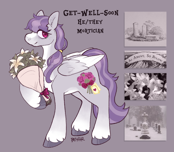 Size: 1247x1094 | Tagged: safe, artist:beyhr, derpibooru import, oc, oc:get-well-soon, unofficial characters only, pegasus, pony, bags under eyes, blaze (coat marking), bouquet, bouquet of flowers, coat markings, colored belly, colored hooves, colored wings, colored wingtips, eyelashes, facial markings, flower, folded wings, gradient legs, gravestone, graveyard, gray coat, gray hooves, hair tie, hoof hold, hooves, image, lily (flower), long mane, long mane male, looking back, male, male oc, mane tie, moodboard, oc redesign, pale belly, pegasus oc, pink eyes, png, ponytail, profile, pronouns, purple mane, purple tail, red eyes, shiny hooves, signature, smiling, socks (coat marking), solo, stallion, stallion oc, standing, standing on three hooves, tail, text, three toned wings, tied mane, two toned mane, two toned tail, white wingtips, wings