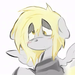 Size: 877x876 | Tagged: safe, artist:sn00wd0gg3, derpibooru import, pegasus, pony, blonde mane, bust, clothes, gray coat, image, jpeg, lidded eyes, shirt, simple background, solo, spread wings, striped shirt, white background, wings