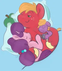 Size: 1326x1523 | Tagged: safe, artist:amynewblue, derpibooru import, apple bloom, applejack, big macintosh, granny smith, sugar belle, earth pony, pony, unicorn, g4, apple, apple family, apple family member, family, father and child, father and son, female, filly, foal, food, horn, image, jpeg, male, mother and child, mother and son, parent:big macintosh, parent:sugar belle, parents and child, shipping, simple background, sketch, sleeping, straight, sugarmac