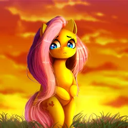 Size: 2449x2449 | Tagged: safe, artist:miokomata, derpibooru import, fluttershy, pegasus, pony, g4, beautiful, bipedal, cloud, cloudy, cute, detailed hair, female, freckles, frown, grass, hind legs, image, legs together, looking away, looking down, mare, outdoors, png, shy, shyabetes, solo, standing, sunset