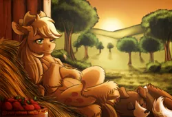 Size: 2000x1356 | Tagged: safe, artist:inuhoshi-to-darkpen, derpibooru import, applejack, winona, dog, earth pony, pony, g4, apple, barn, basket, crossed hooves, duo, ear fluff, female, fluffy, food, fruit, grass, grass field, hay, image, lying down, mare, on back, one eye closed, patreon, patreon logo, pet, png, scenery, signature, sleeping, straw, sunset, sweet apple acres, unshorn fetlocks