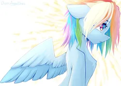 Size: 1323x935 | Tagged: safe, artist:chaosangeldesu, derpibooru import, rainbow dash, pegasus, pony, g4, image, jpeg, solo, spread wings, standing, wings