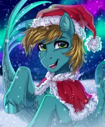 Size: 1696x2048 | Tagged: safe, artist:hakaina, ponerpics import, oc, pony, christmas, holiday, image, jpeg, male, solo, stallion