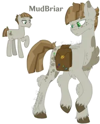 Size: 1672x2068 | Tagged: safe, artist:brybrychan, artist:bryonythewolf, derpibooru import, part of a set, mudbriar, earth pony, pony, g4, bag, chest fluff, hock fluff, image, male, part of a series, png, saddle bag, simple background, solo, stallion, transparent background, unshorn fetlocks