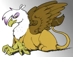 Size: 800x625 | Tagged: safe, artist:pacce, artist:razzek, color edit, edit, gilda, gryphon, colored, crossed arms, frown, gradient background, grumpy, image, jpeg, looking at you, looking sideways, lying down, prone, side view, simple background, solo, spread wings, wings