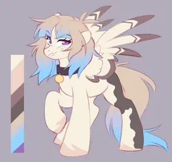 Size: 2048x1930 | Tagged: safe, artist:cheekipone, ponerpics import, oc, oc:mesmerizing rain, unofficial characters only, pegasus, pony, coat markings, collar, color palette, dog tags, eyebrows visible through hair, female, floppy ears, freckles, gray background, image, mare, pegasus oc, pegasus wings, png, raised eyebrow, raised hoof, reference sheet, simple background, smiling, solo, spread wings, standing, two toned wings, unshorn fetlocks, wings