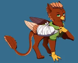 Size: 1500x1212 | Tagged: safe, artist:talimingi, derpibooru import, oc, oc:pearl diver, unofficial characters only, gryphon, bandage, bandaged wing, blue background, clothes, commission, griffon oc, hoodie, image, jpeg, male, signature, simple background, solo, wings