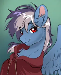 Size: 2700x3330 | Tagged: safe, artist:opalacorn, derpibooru import, oc, oc:silver lightning, unofficial characters only, pegasus, pony, bust, chest fluff, clothes, ear fluff, eyebrows, eyebrows visible through hair, gradient background, hoodie, image, jpeg, lidded eyes, looking at you, male, smiling, smiling at you, solo, stallion