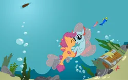 Size: 1280x805 | Tagged: artist needed, safe, anonymous artist, artist:jhayarr23, artist:loladreamteam, artist:parclytaxel, ocellus, scootaloo, changeling, fish, pegasus, pony, seapony (g4), ^^, bubble, cute, cutealoo, daaaaaaaaaaaw, diaocelles, disguise, disguised changeling, duo, eyes closed, female, filly, image, imminent kissing, lesbian, open smile, png, rock, scootalove, seaponified, seapony ocellus, seapony scootaloo, seaweed, ship:scootacellus, smiling at each other, snout to snout, species swap, this will end in kisses, this will end in love, treasure chest, wholesome