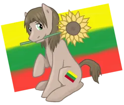 Size: 750x639 | Tagged: safe, artist:ninaiso, derpibooru import, ponified, pony, flower, hetalia, image, lithuania, png, solo