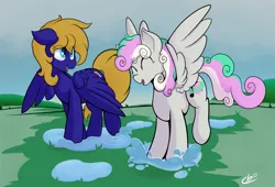 Size: 2231x1513 | Tagged: safe, artist:cloudybirb, derpibooru import, oc, oc:cloud quake, oc:silver melody, unofficial characters only, pegasus, pony, background, cloud, cloudy, duo, duo female, eyes closed, female, image, pegasus oc, png, puddle, splash, wings