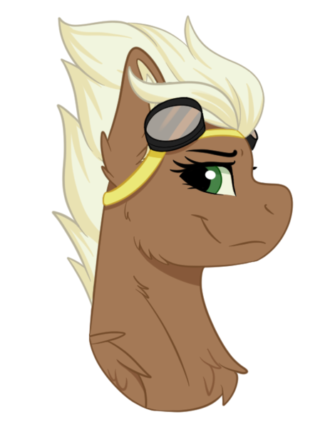 Size: 567x735 | Tagged: safe, artist:decemberbreeze, derpibooru import, oc, oc:sky sparks, unofficial characters only, pegasus, pony, aviator goggles, commission, female, goggles, image, looking at you, mare, png, profile, side view, smiling, smiling at you, solo, wonderbolts