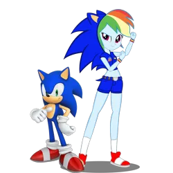 Size: 2048x2048 | Tagged: safe, artist:kalel156, derpibooru import, rainbow dash, hedgehog, human, equestria girls, g4, belly, belly button, clothes, cosplay, costume, female, image, male, midriff, png, simple background, sonic the hedgehog, sonic the hedgehog (series), transparent background